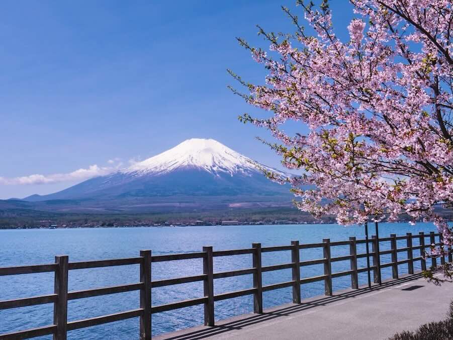 山中湖環湖自行車道