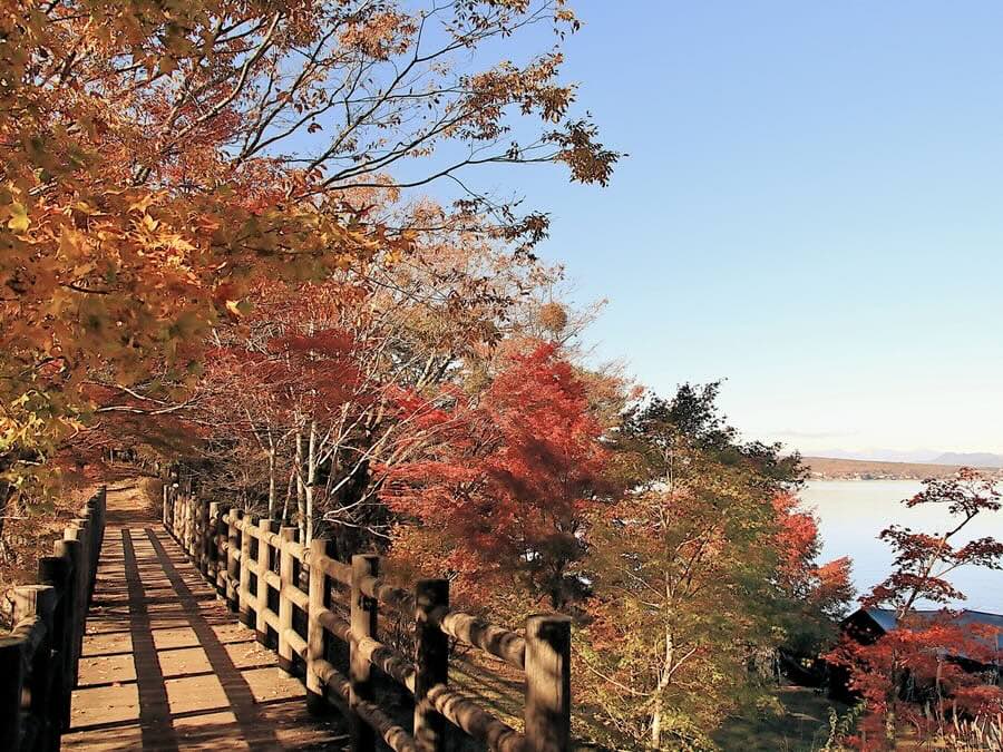 山中湖旭日丘湖畔綠地公園