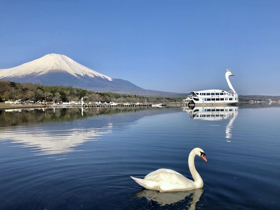 山中湖白鳥號遊覽船