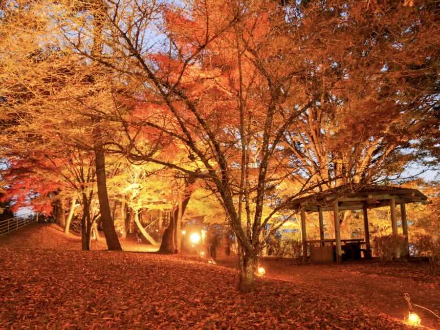 山中湖紅葉祭