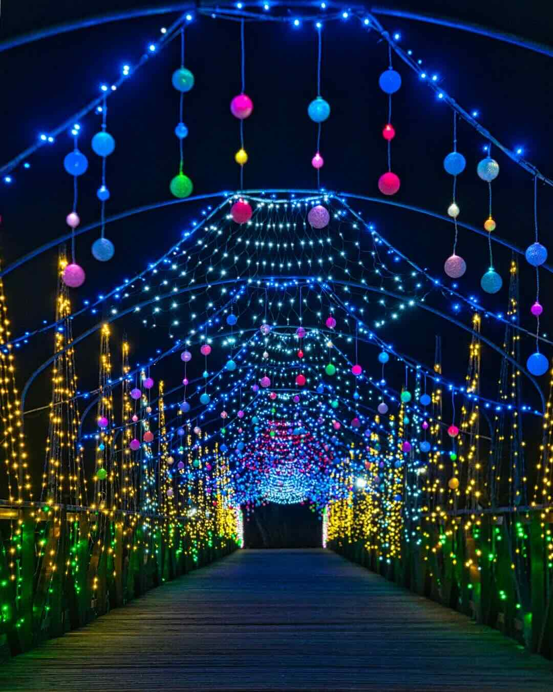 山中湖花都公園冬季點燈